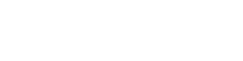 auth_logo